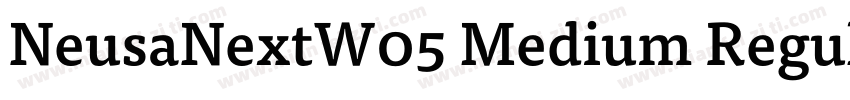 NeusaNextW05 Medium Regular字体转换